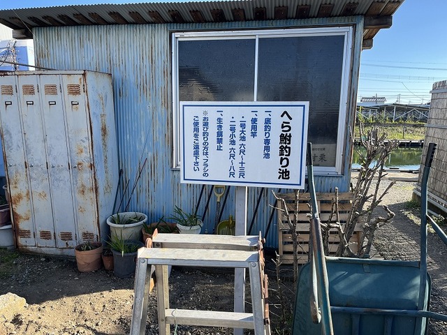 底釣り専用釣り堀です。