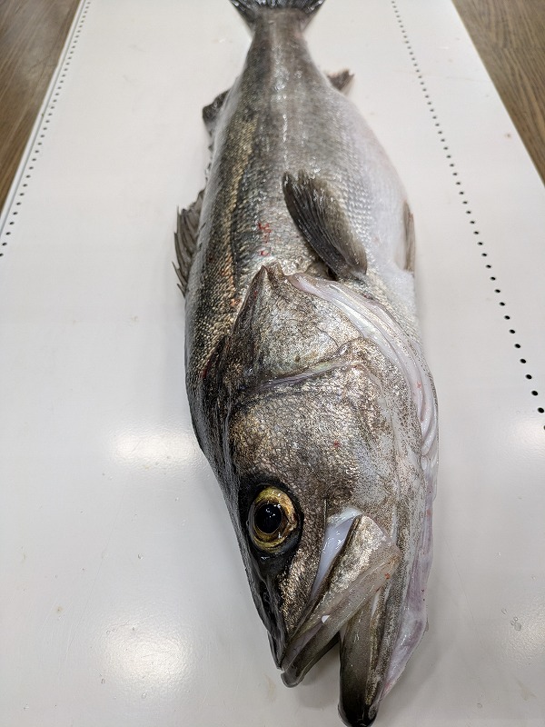 つり具の上州屋 - あなたのフィッシング＆アウトドアライフをサポート