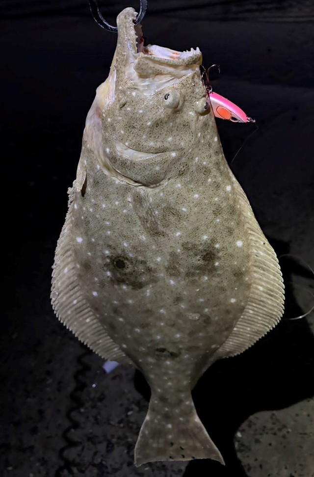 釣り物 つり具の上州屋 - あなたのフィッシング＆アウトドアライフをサポート