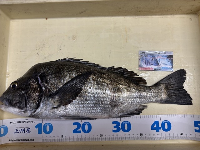 ☆BLACKFRIDAY第２弾セール中！早い者勝ち！玉置台　① つり具の上州屋 - あなたのフィッシング＆アウトドアライフをサポート