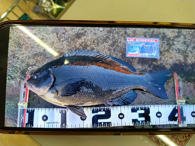 X-80 MAGNUM | Megabass-メガバス メガバス カゲロウ124f x80マグナム