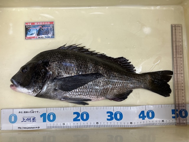 つり具の上州屋 - あなたのフィッシング＆アウトドアライフをサポート