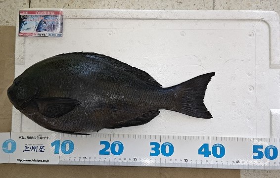 つり具の上州屋 - あなたのフィッシング＆アウトドアライフをサポート