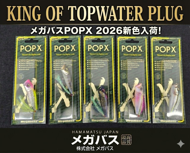 スポットテール・パプアンバス パプアンブラックバスとパプアンスポットテイルバスの違い