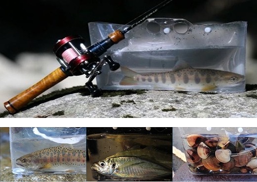 akクラフト　サミーズ Sammys | Fishing Tackle BLUE MARLIN