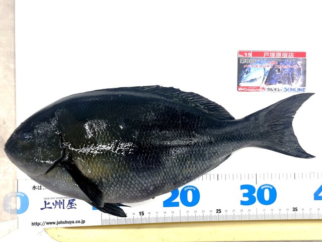 つり具の上州屋 - あなたのフィッシング＆アウトドアライフをサポート