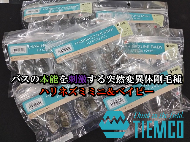 川でのリラックス＆釣りに最適なアウトドアセットをお譲りします つり具の上州屋 - あなたのフィッシング＆アウトドアライフをサポート