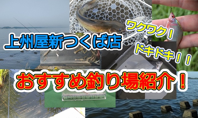 【大物釣りページ】 つり具の上州屋 - あなたのフィッシング＆アウトドアライフをサポート